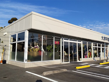 日向店