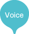 Voice