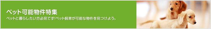 ペット可能物件特集