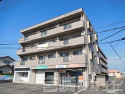 サンライズ新名爪