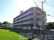 宮崎県宮崎市清武町加納