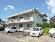 宮崎県宮崎市清武町正手