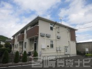 プリムローズ 203