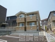 エヌ プラシード