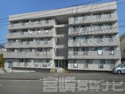 日向市亀崎