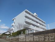 宮崎県宮崎市学園木花台桜
