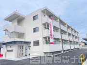 ナガエ フィールド 203