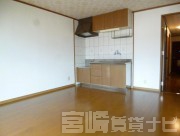 宮崎県宮崎市吉村町