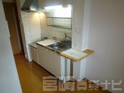 宮崎県宮崎市元宮町