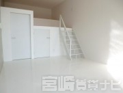 宮崎県宮崎市橘通東