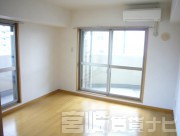 宮崎県宮崎市上野町