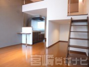 宮崎県宮崎市橘通東
