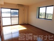 宮崎県宮崎市清武町加納
