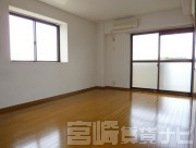 宮崎県宮崎市清武町加納