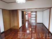 宮崎県宮崎市清武町正手