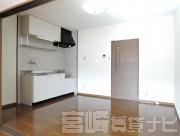 宮崎県宮崎市学園木花台桜