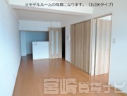 宮崎県宮崎市清武町正手