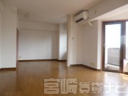 宮崎県宮崎市田代町