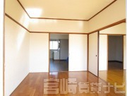 宮崎県宮崎市吉村町