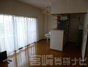 宮崎県宮崎市橘通東