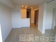 宮崎県宮崎市清武町加納