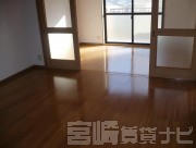 宮崎県宮崎市佐土原町下田島