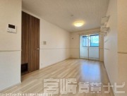 宮崎県宮崎市清武町新町