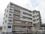 日向市鶴町