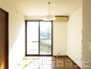 宮崎県宮崎市村角町