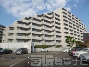 サーパス中津瀬 3