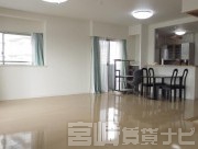 宮崎県宮崎市橘通東