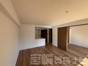 宮崎市高千穂通