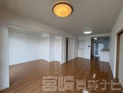 宮崎市橘通東